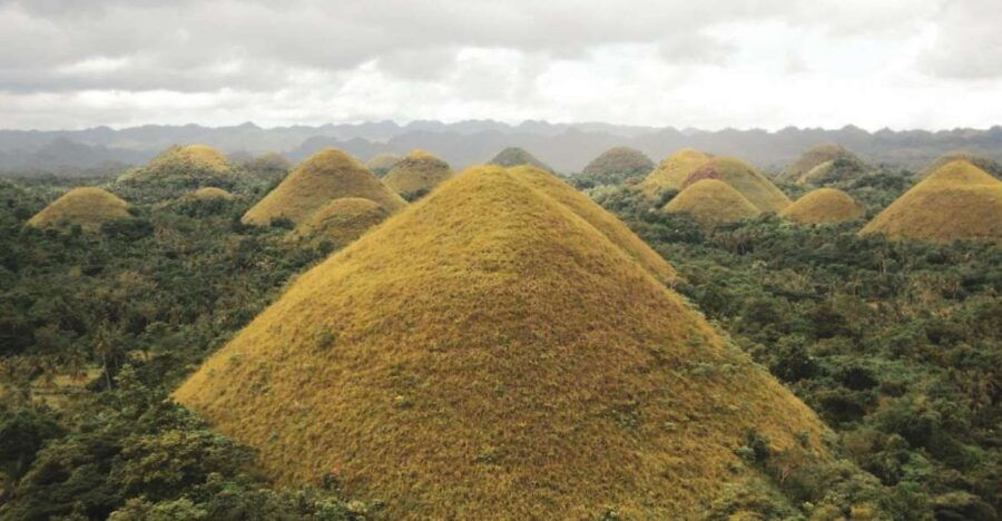Chocolate Hills Bohol Nature Tour - Good To Know