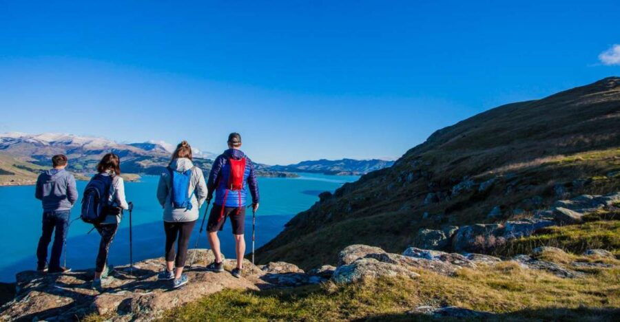 Christchurch: Guided Crater Rim Walk and Picnic - Good To Know