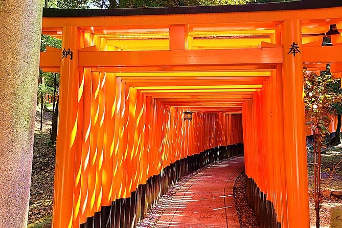 Complete Kyoto Tour in One Day, Visit All 13 Popular Sights!