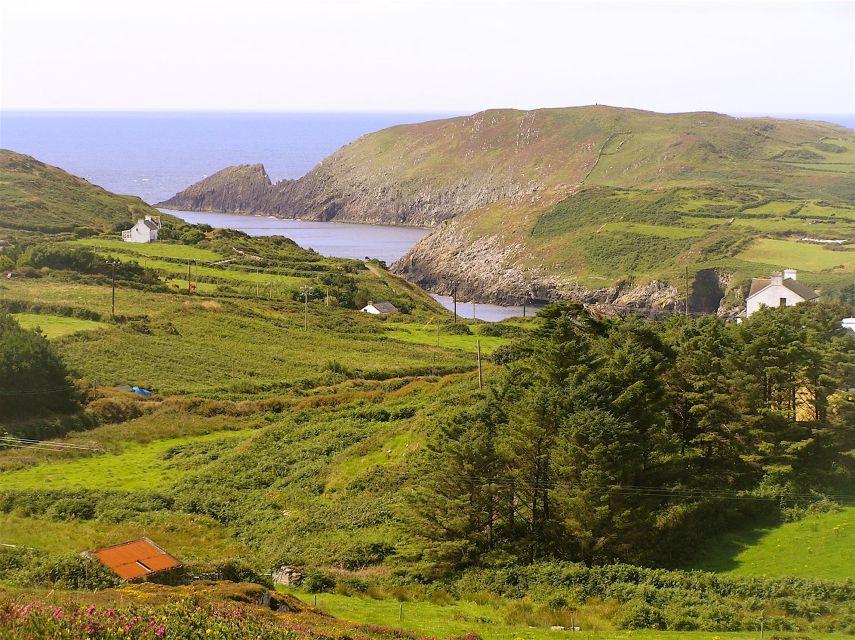 Cork: Fastnet Rock Lighthouse and Cape Clear Island Tour - Good To Know