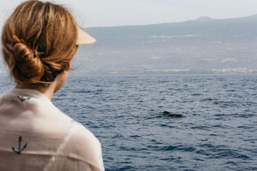 Costa Adeje: Dolphin & Whale Eco-Cruise With Snacks & Drinks - Good To Know