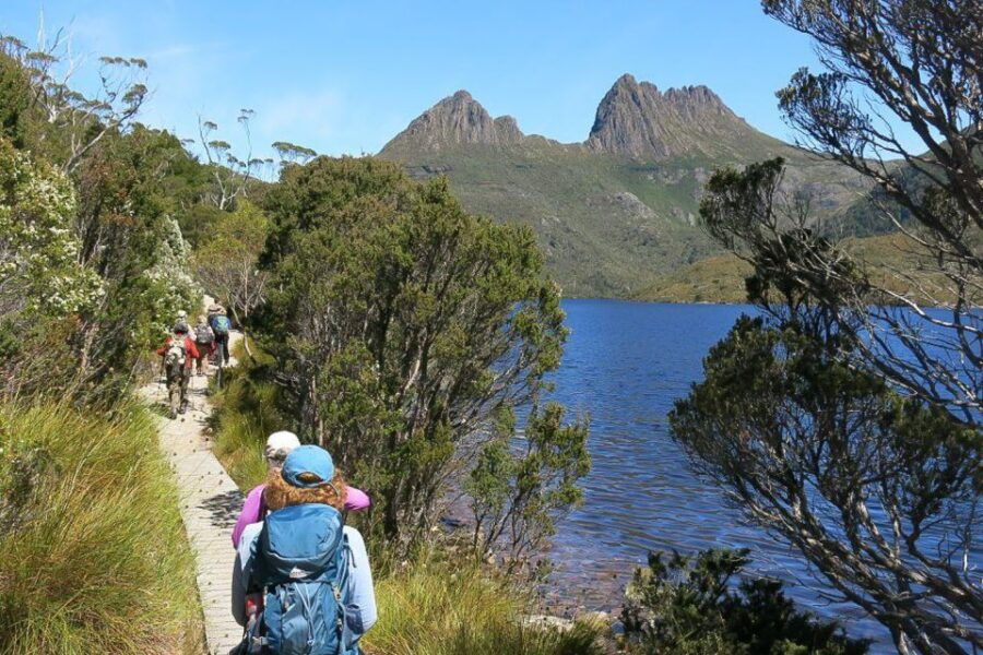 Cradle Mountain: Day Trip From Launceston With Lunch