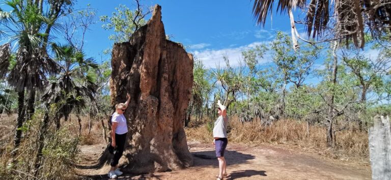 Darwin: Litchfield National Park and Berry Springs Day Tour