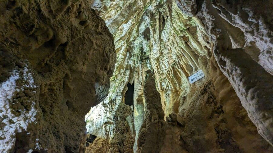 Day Tour: Hida's Gems - Caves, Bears, and Shinhotaka Ropeway - Up-close Encounters at Okuhida Bear Park