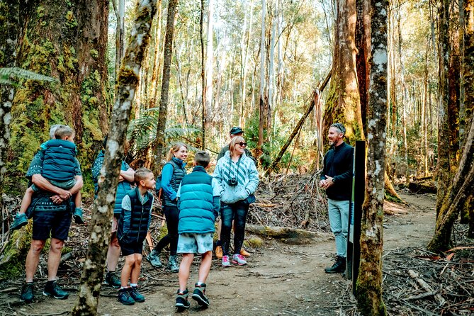 Day Tour in Mt. Field, Mt. Wellington, Bonorong Wildlife Sanctuary and Richmond - Quick Takeaways