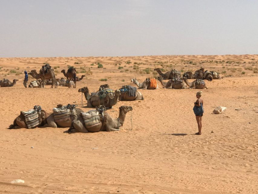 Day Trip to Desert to Ksar Ghilane From Djerba or Zarzis - Good To Know