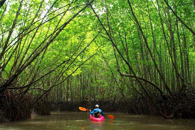 Deep Mangrove and Canyon Kayak Tour in Krabi - Good To Know