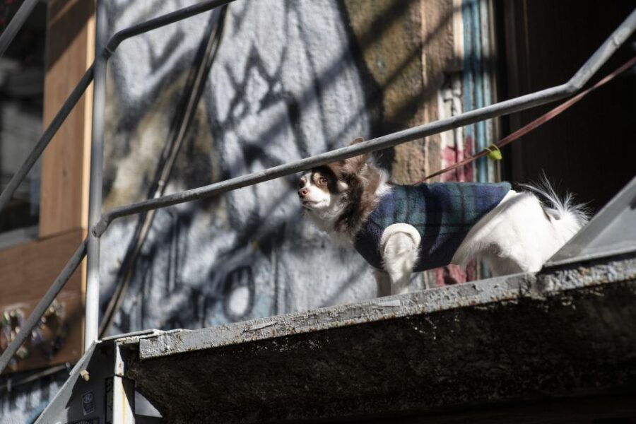 Discover Shimokitazawa: Tokyo's Bohemian Neighbourhood - Good To Know