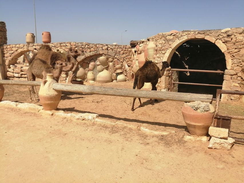 Djerba: Pottery Village and Heritage Museum Tour - Good To Know
