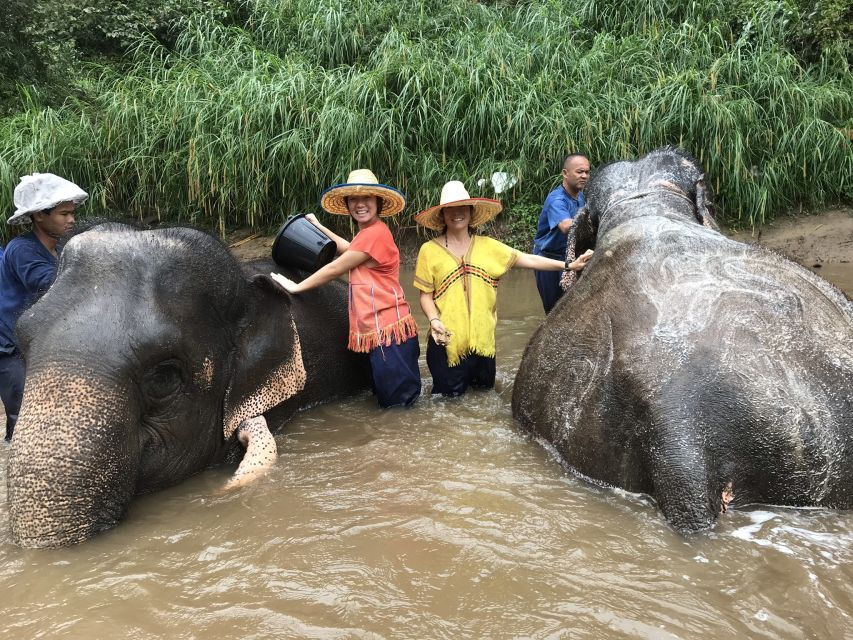 Doi Suthep Temple & Ethical Elephant Sanctuary Day Trip. - Good To Know