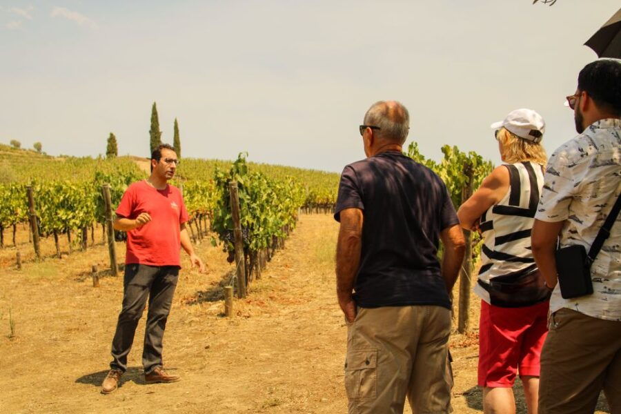 Douro Valley: Tour With Wine Tastings, Cruise, and Lunch