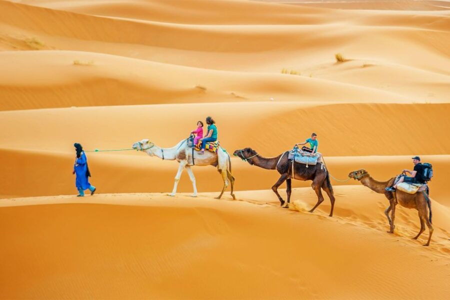 Douz: Sahara Desert Camel Trek With Lunch