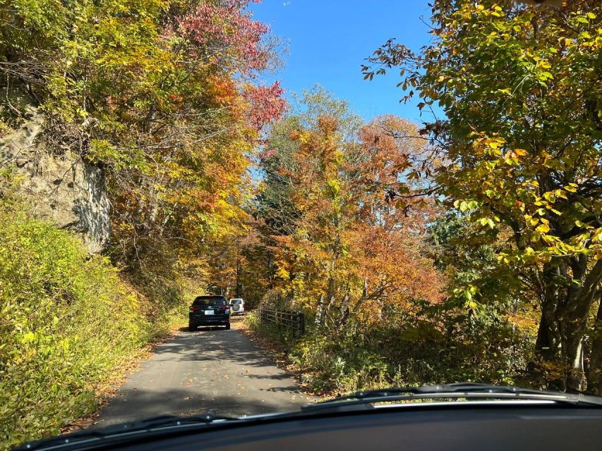 Driving Support in Akita - Good To Know