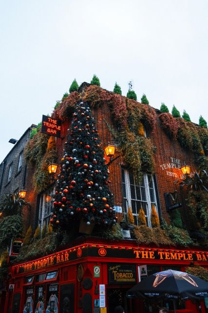 Dublin: 2-Hour Guided Walking Tour - Good To Know