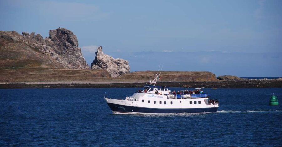 Dublin Bay: Cruise From Howth to Dun Laoghaire - Good To Know