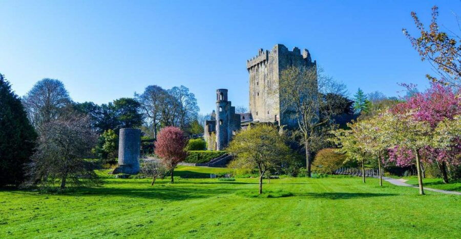 Dublin: Full-Day Tour to Cork, Cobh and Blarney Castle - Good To Know