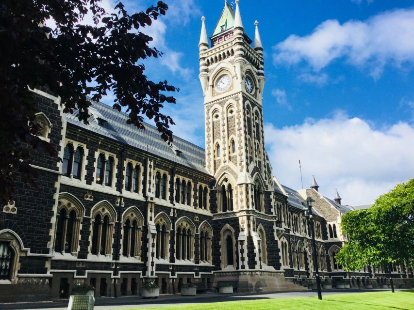 Dunedin: Otago Peninsula With Guided Penguin Tour