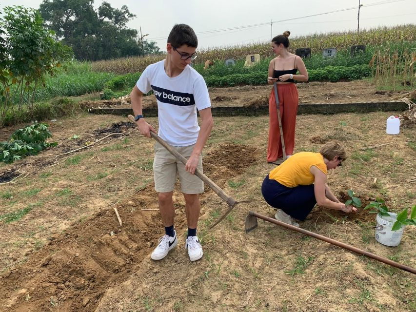 Duong Lam Ancient Village - Good To Know