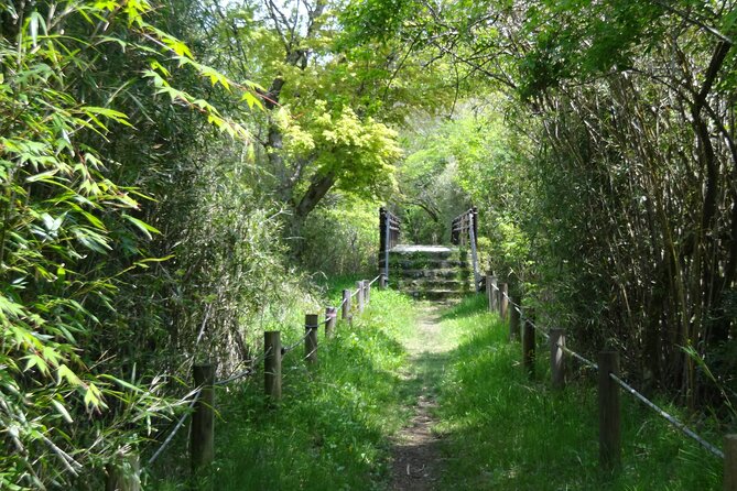 Easygoing Nature Walk in Hakone Tour - Good To Know