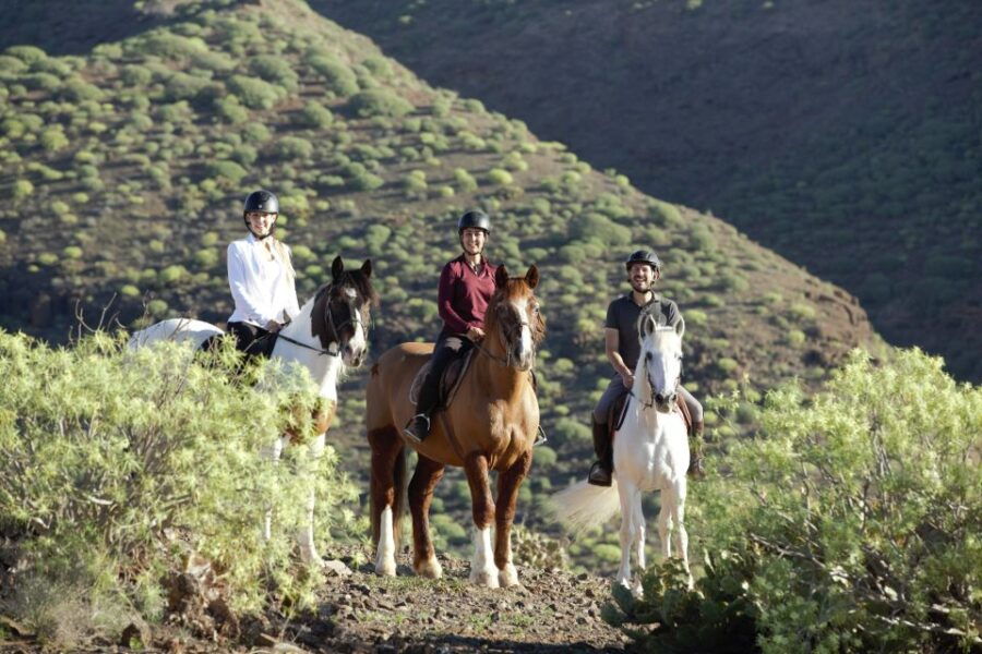 El Salobre: Horse Riding Adventure With Transfer Options - Good To Know