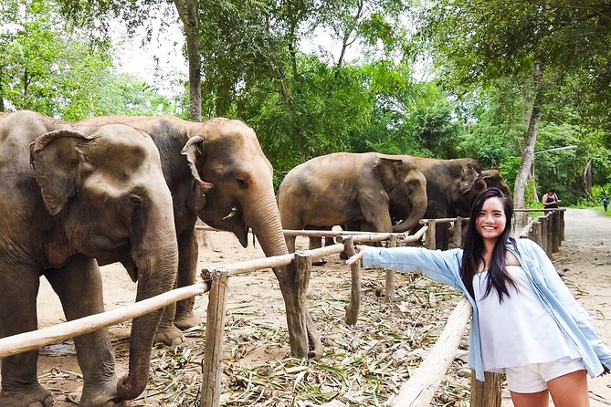 Elephant Haven Kanchanaburi With Private Transfer From Bangkok