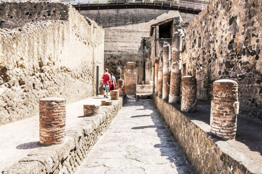 Ercolano: Herculaneum Entry Ticket W/ Optional Audio Guide - Good To Know