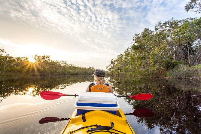 Everglades Explorer – Noosa Everglades Tour