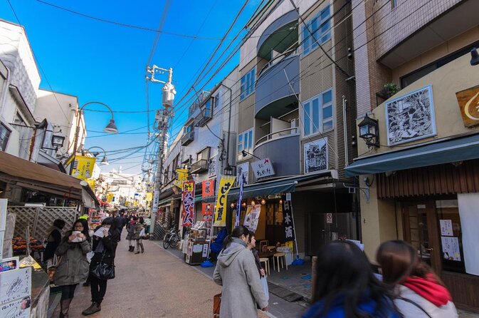 Experience Old and Nostalgic Tokyo: Yanaka Walking Tour Good To Know
