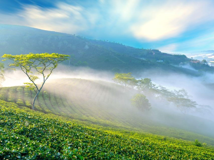 Explore the Best of Dalat's Countryside Tour (Private Car) - Good To Know