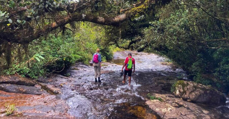 Exploring Knuckles: Hiking the Hidden Gem of Sri Lanka - Good To Know