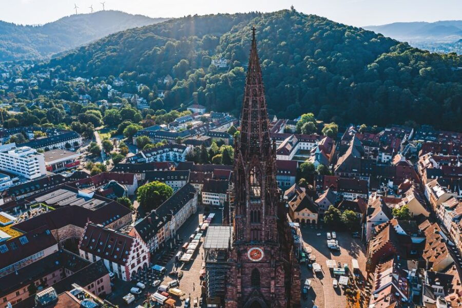 6 Best Wine Tours In Freiburg
