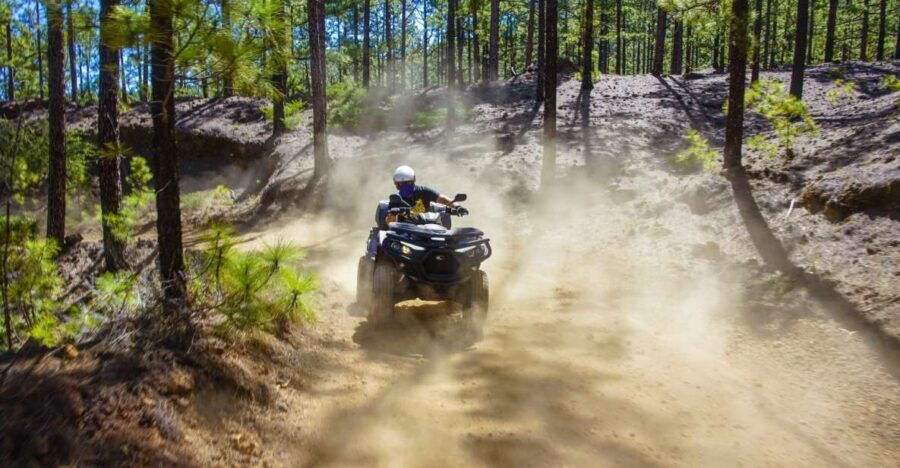 From Adeje: Mt. Teide Forest Off-Road Quad Tour - Good To Know