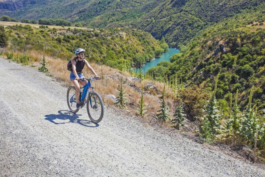 From Arrowtown: Scenic Valley of the Vines Bike & Wine Tour - Good To Know