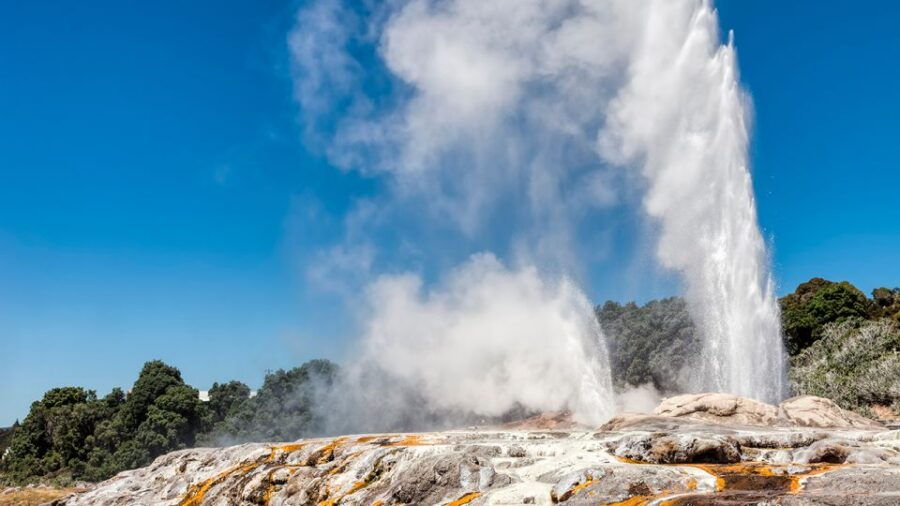 From Auckland: One-Way Transfer to Rotorua W/ Hobbiton Tour - Good To Know