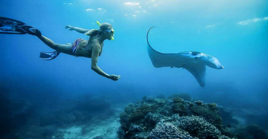 From Bali: Swim With Manta Rays in Nusa Penida