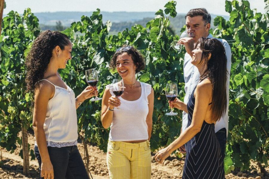 From Barcelona: Penedés Vineyards Tour by 4WD W/Wine & Cava - Good To Know