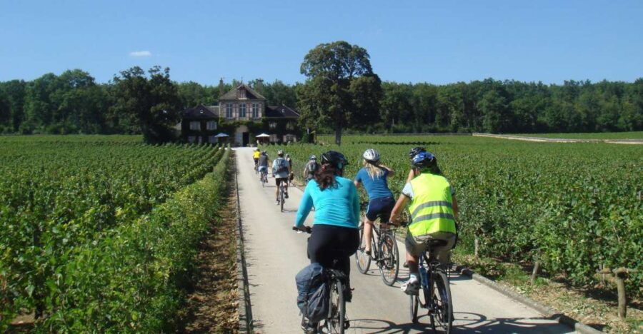 From Beaune: Full-Day Bicycle and Wine Tour in Burgundy