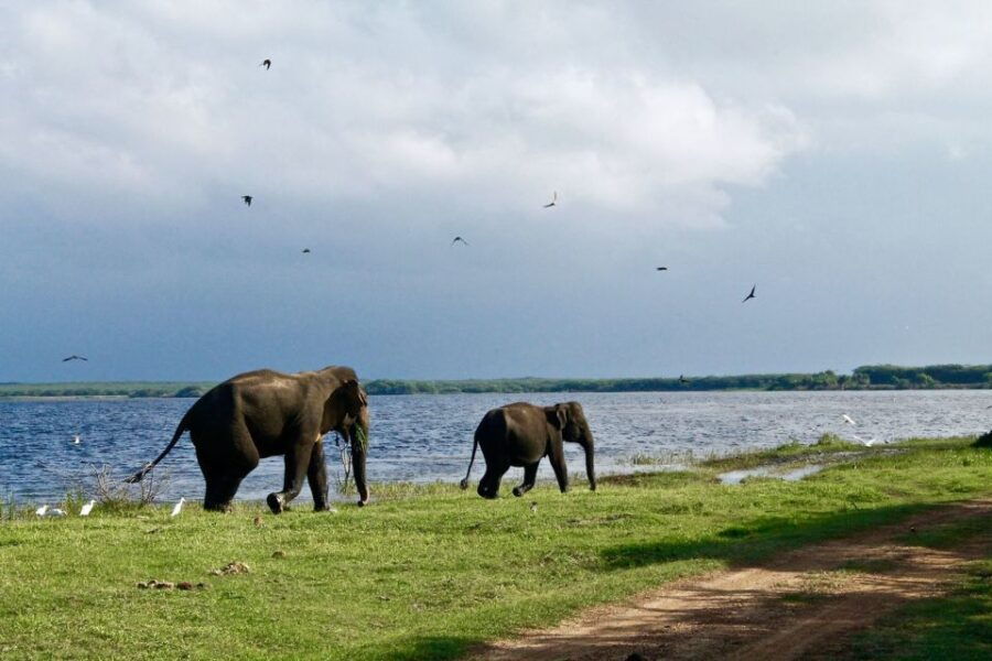 From Bentota: 2-Day Tour to Wild Wonders and Galle Fort - Good To Know