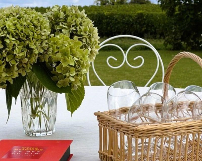 From Bordeaux: Afternoon Saint-Emilion Wine Tasting Trip - Good To Know