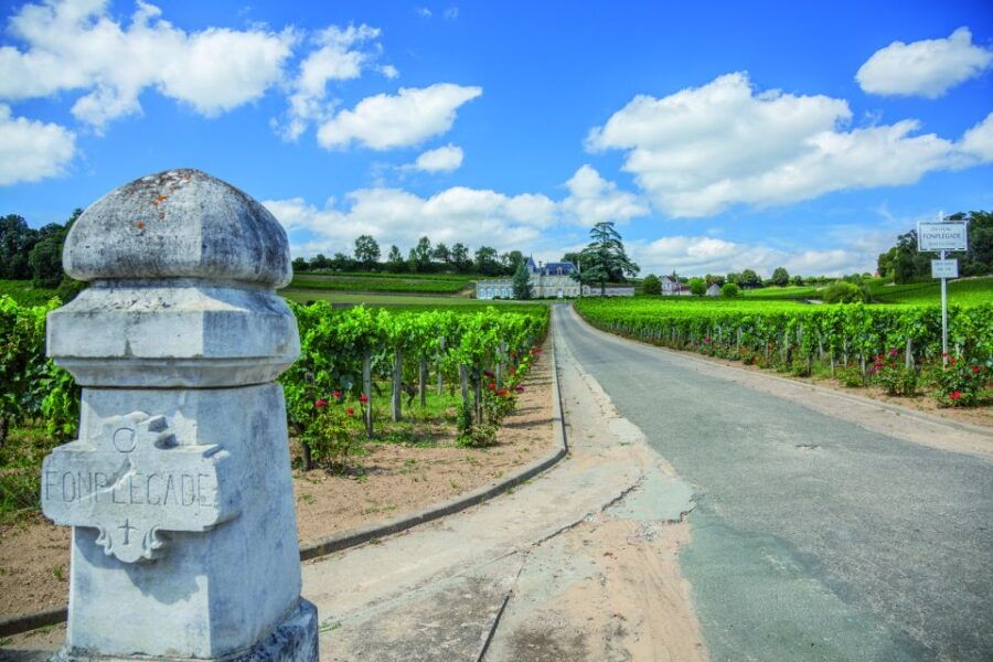 From Bordeaux: Full-Day St Emilion Wine Tasting Tour - Good To Know