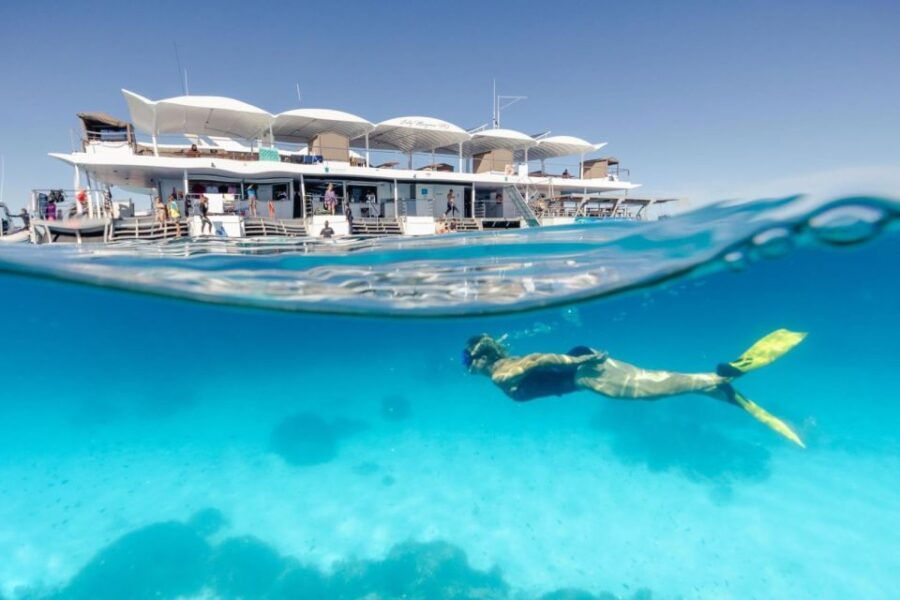 From Bundaberg: Barrier Reef & Lady Musgrave Island Day Tour - Good To Know