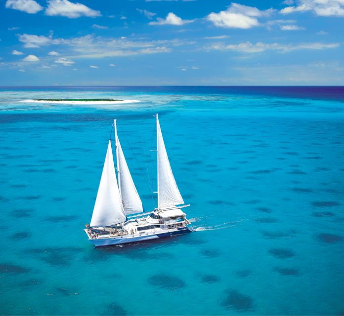 From Cairns: Cruise to Michaelmas Cay With Water Activities