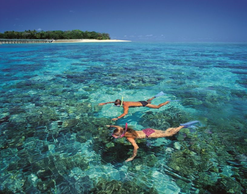From Cairns: Green Island Half-Day Morning Cruise - Good To Know
