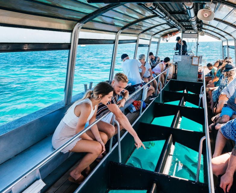 From Cairns: Green Island Snorkelling or Glass Bottom Boat - Good To Know