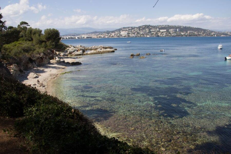 From Cannes: Ferry Tickets to Sainte-Marguerite Island - Good To Know