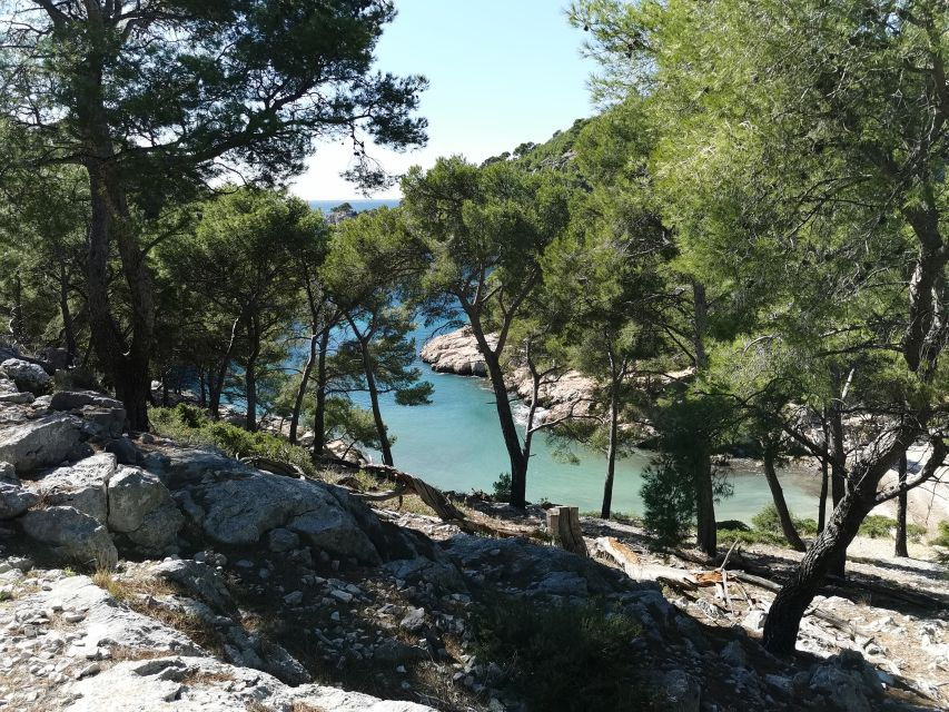 From Cassis: Calanques National Park Guided Hiking Day Trip - Good To Know