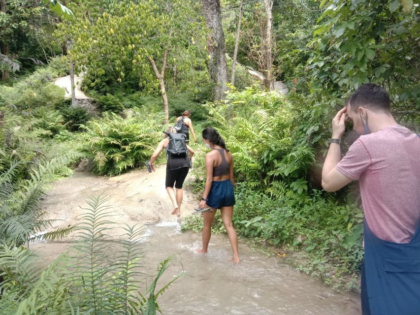 From Chiang Mai: Sticky Waterfall Hike & Mountain Bike Ride