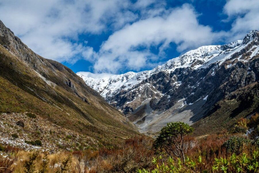 From Christchurch: Arthur's Pass and Tranzalpine Day Tour - Good To Know