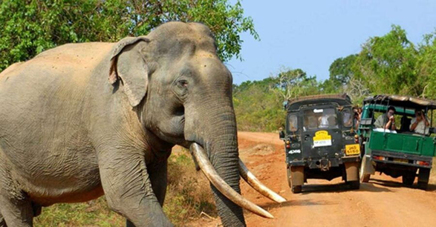 From Colombo: 2-Day Tour With Jungle Trek & National Park - Good To Know