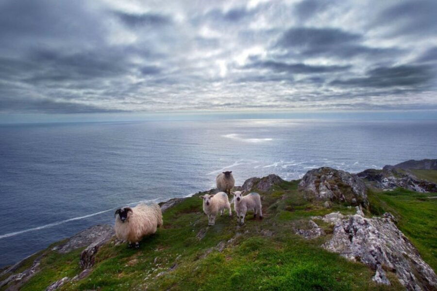 From Cork: Guided Full-Day West Cork to Mizen Head Tour - Good To Know